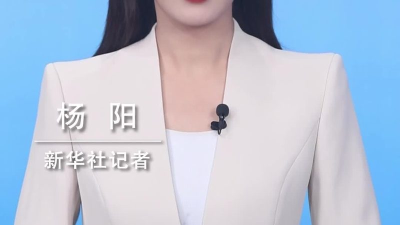 进销存与供应链软件：核心区别与应用解析**
